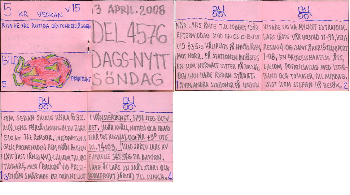 Dags-Nytt 13 april 2008