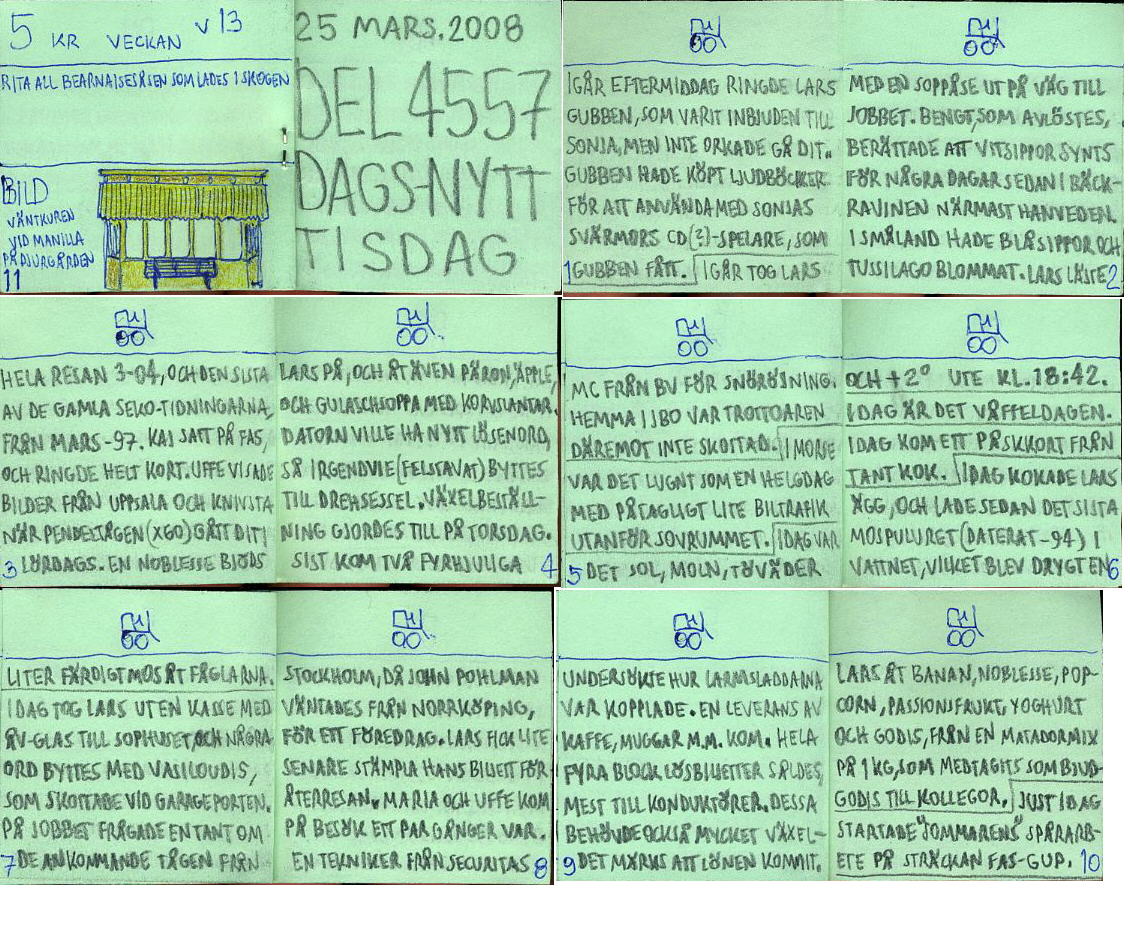 Dags-Nytt 25 mars 2008