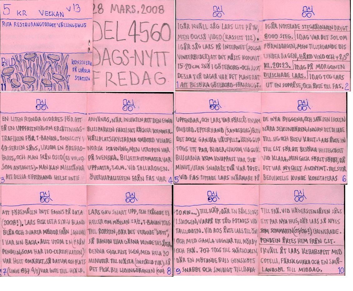 Dags-Nytt 28 mars 2008