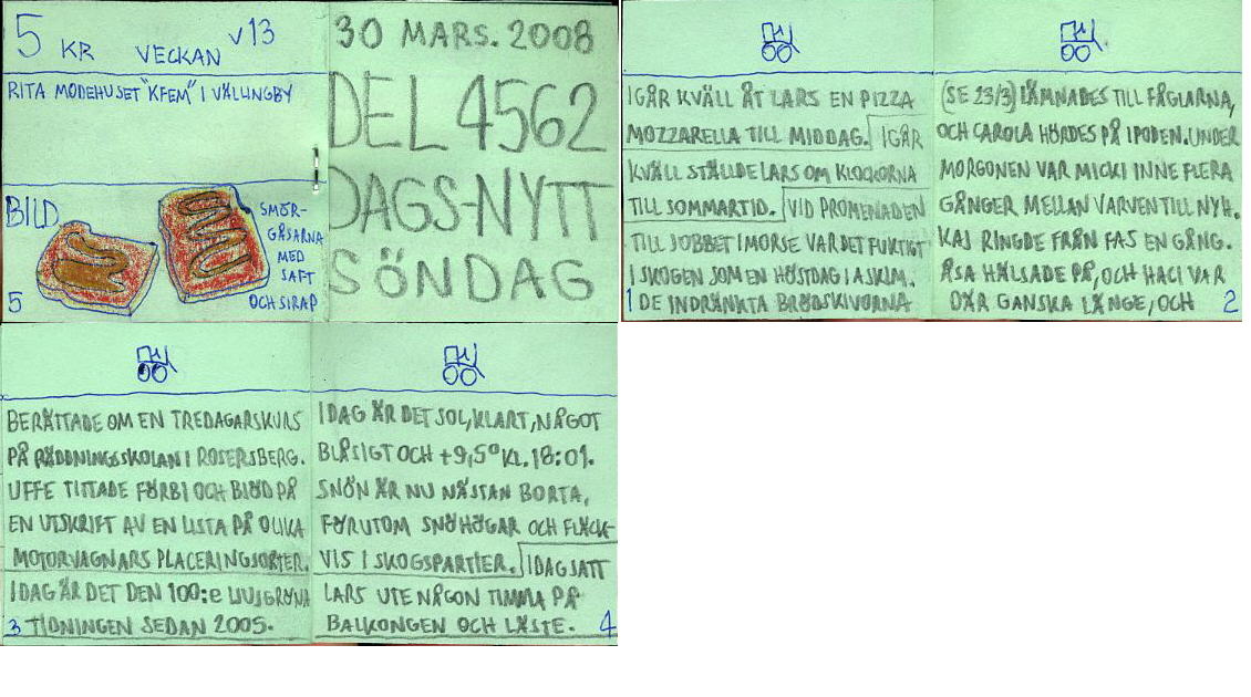 Dags-Nytt 30 mars 2008