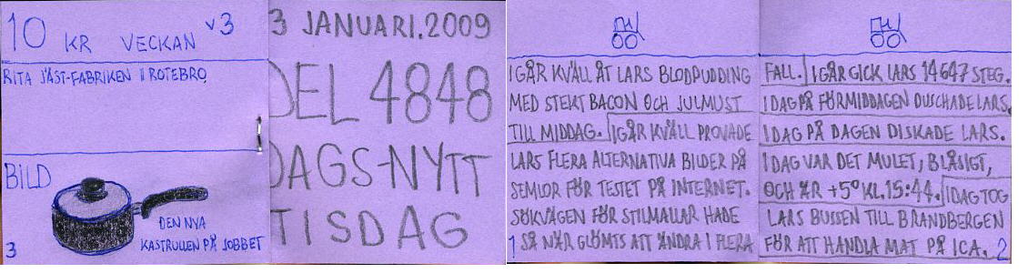 dags-nytt 13 januari 2009
