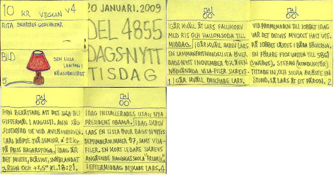dags-nytt 20 januari 2009